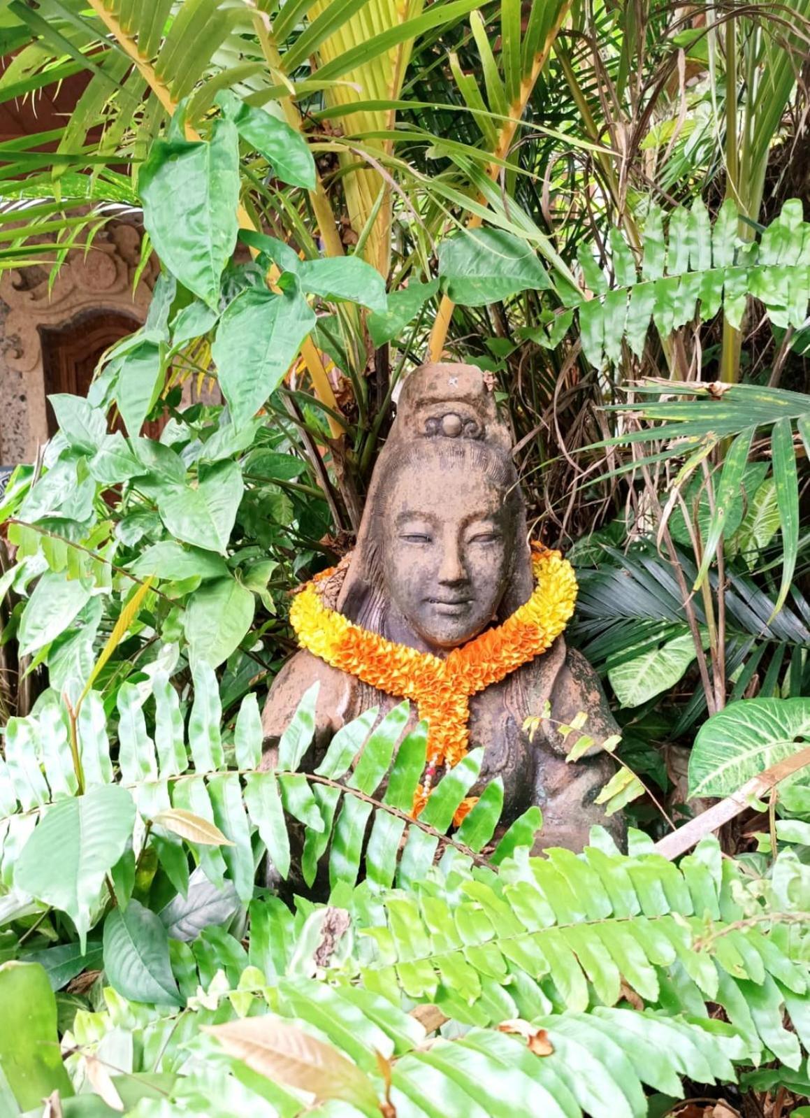 Mandala Blu Wellness Otel Ubud Dış mekan fotoğraf
