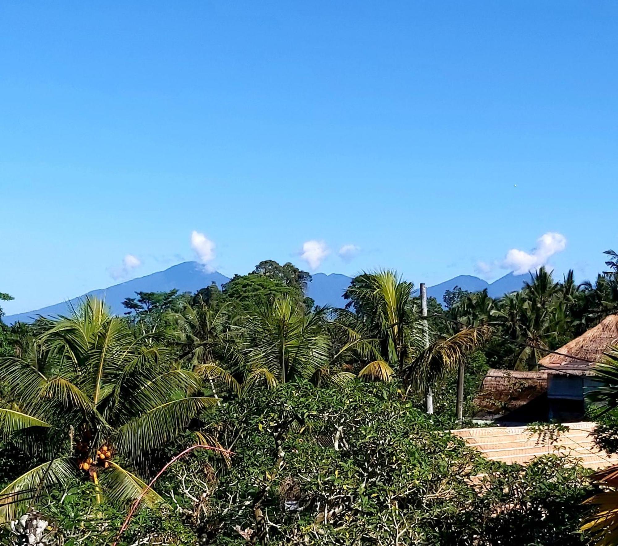 Mandala Blu Wellness Otel Ubud Dış mekan fotoğraf
